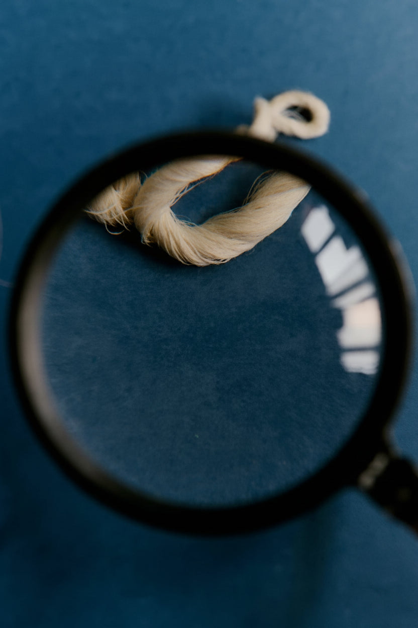 Cultura de la fibra
